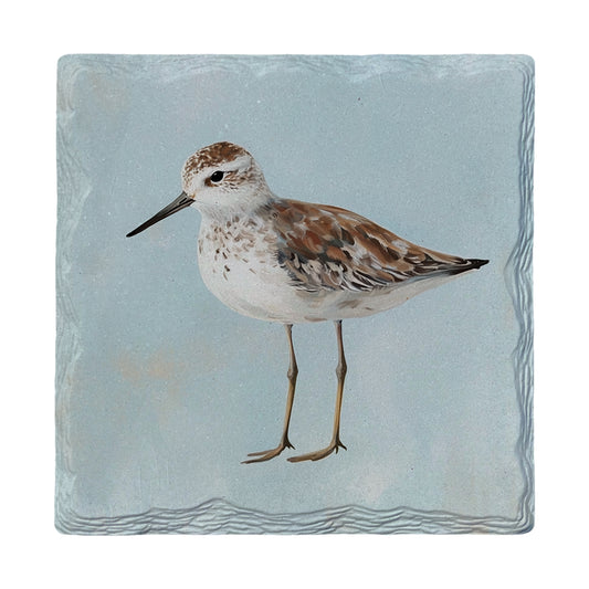 Blue Sandpiper | Ceramic Drink Coaster