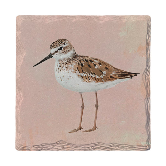 Sandpiper on Pink Sand | Ceramic Drink Coaster
