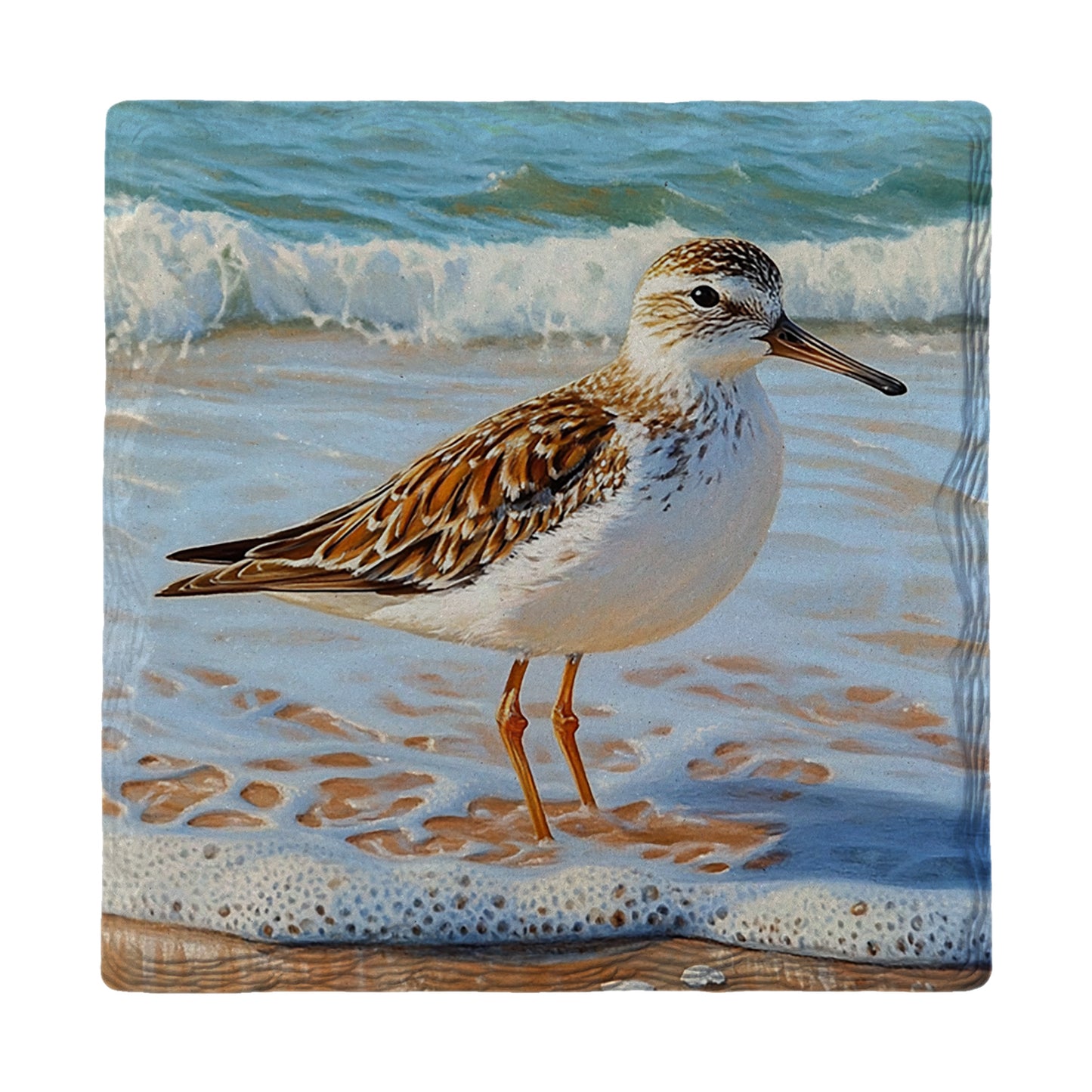 Beautiful Sandpiper | Drink Coaster