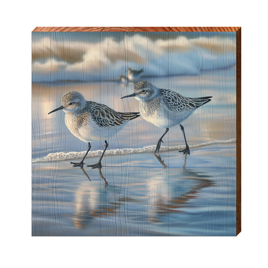 Cute Sandpipers | Wall Art Print on Real Wood