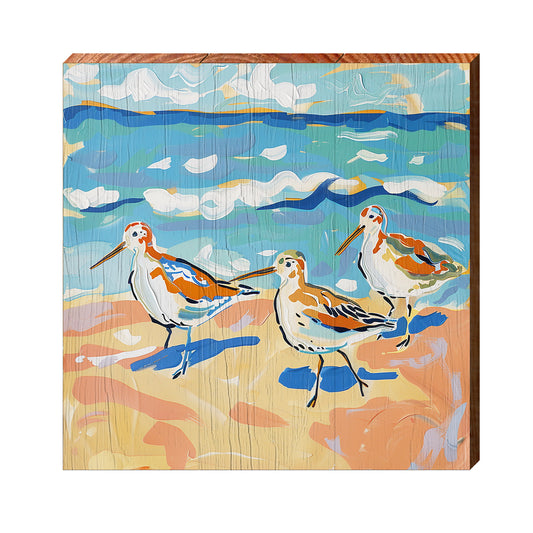 Sandpiper Paradise | Wall Art Print on Real Wood