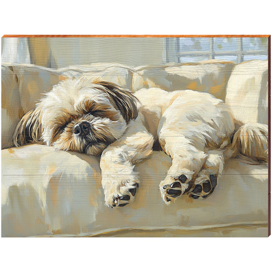 Sleepy Shih Tzu | Wall Art Print on Real Wood