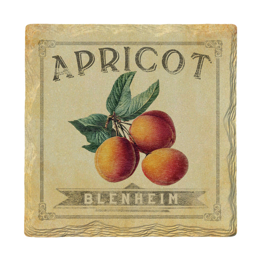 Vintage Apricot | Drink Coaster