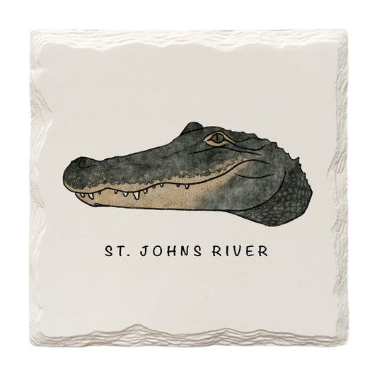 Customizable Gator Doodle | Drink Coaster