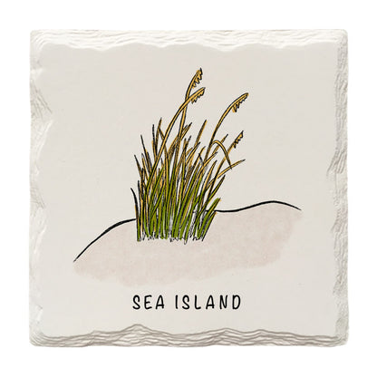 Customizable Beach Grass Doodle | Drink Coaster