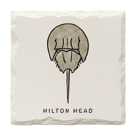 Customizable Horseshoe Crab Doodle | Drink Coaster