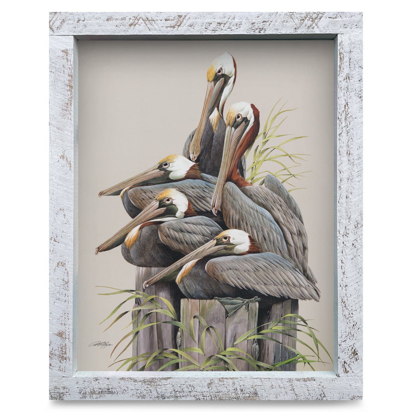 Pelicans on Pylon  | Real Wood Framed Wall Art Print | Art Lamay