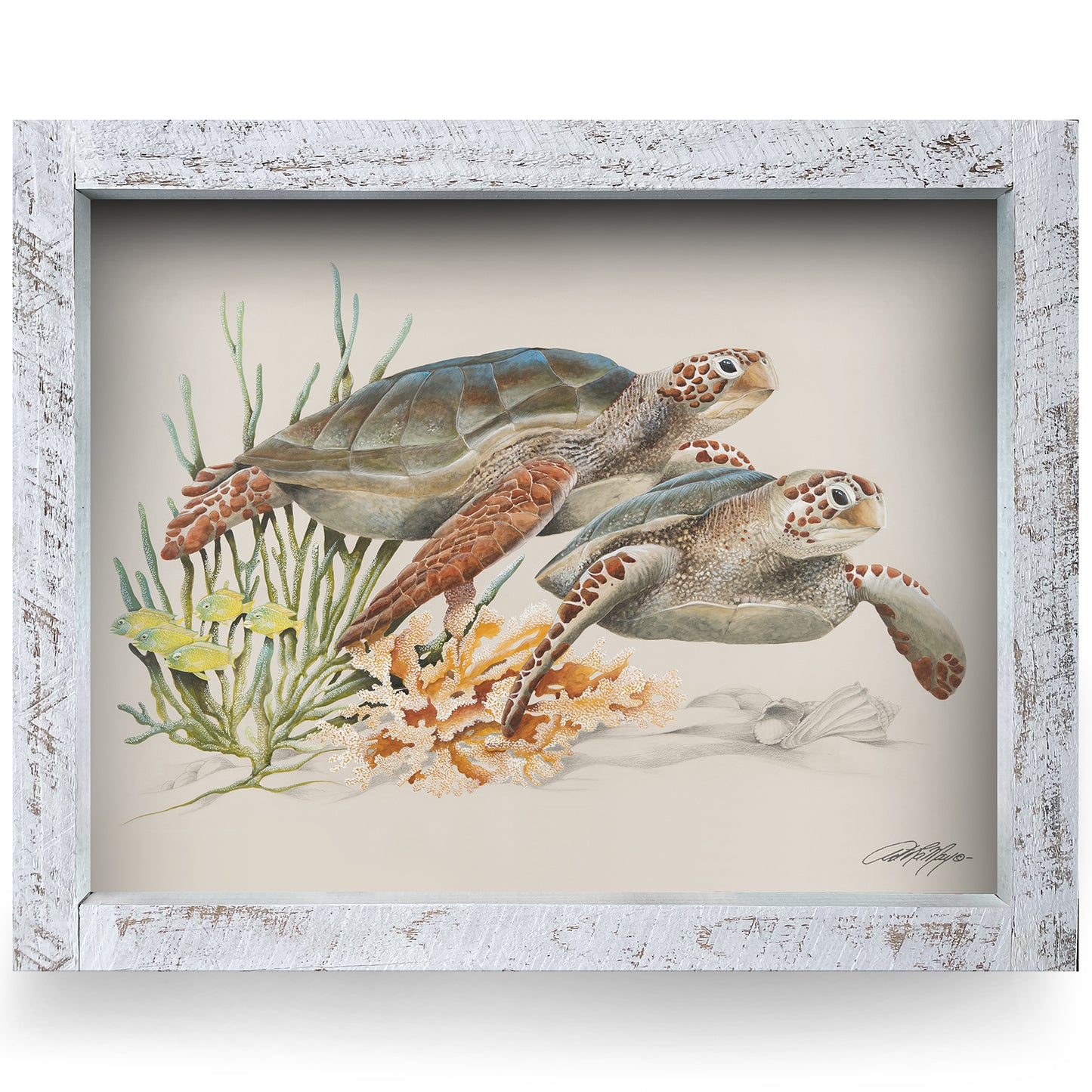 Sea Turtle Duo | Real Wood Framed Wall Art Print | Art Lamay