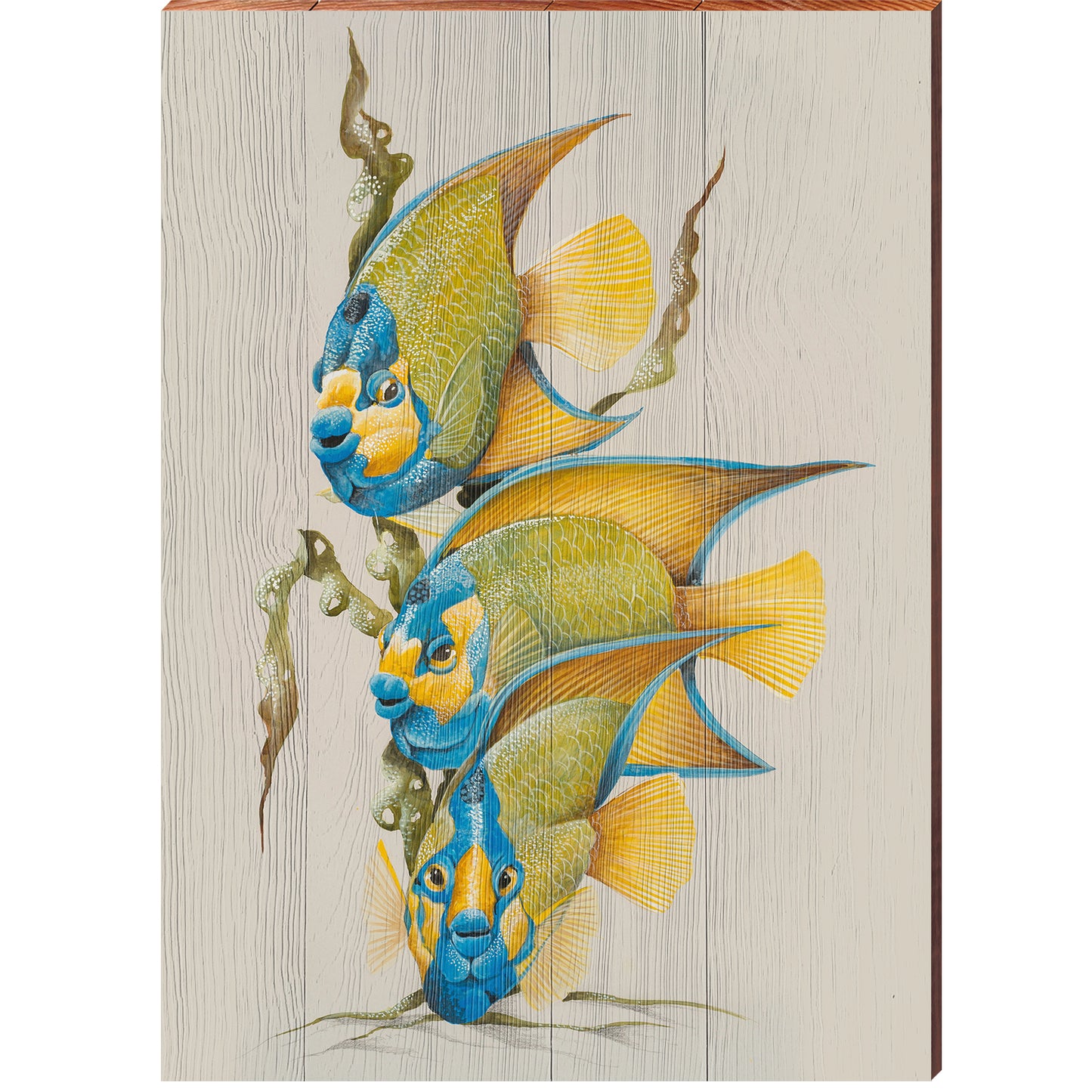 Art Lamay | Angelfish Portrait | Wall Art Print on Real Wood