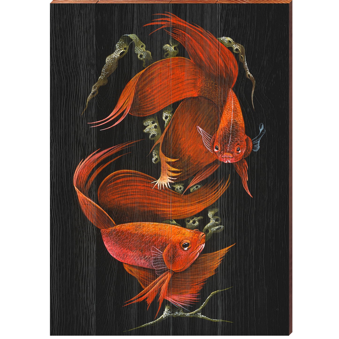 Art Lamay | Orange Betta Fish Portrait | Wall Art Print on Real Wood