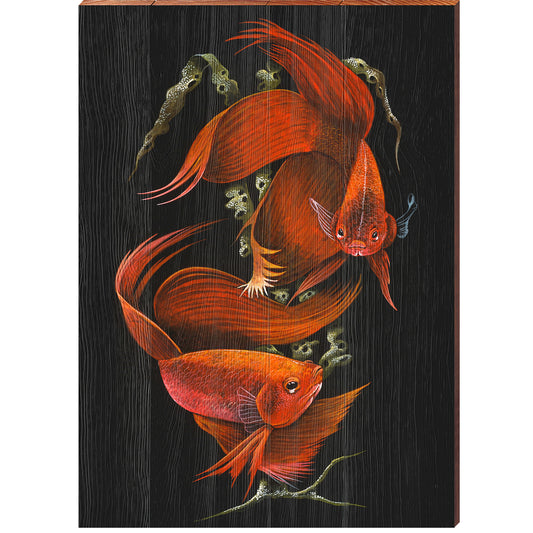 Art Lamay | Orange Betta Fish Portrait | Wall Art Print on Real Wood