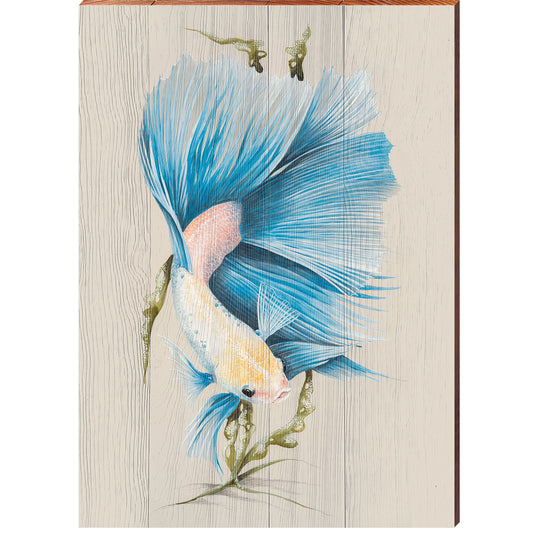 Art Lamay | Blue Betta Fish Portrait | Wall Art Print on Real Wood