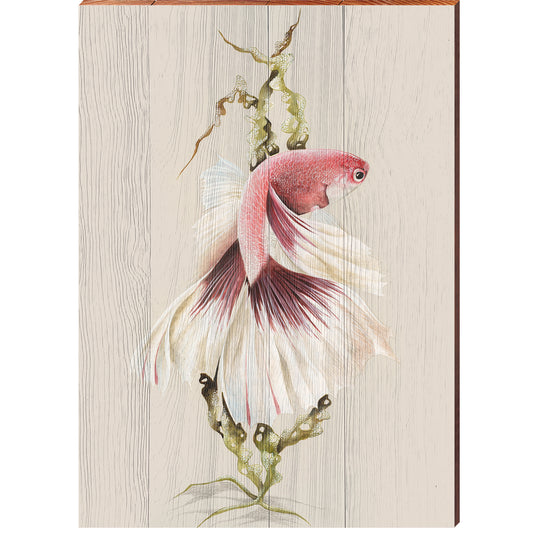 Art Lamay | Pretty Betta Fish Portrait | Wall Art Print on Real Wood