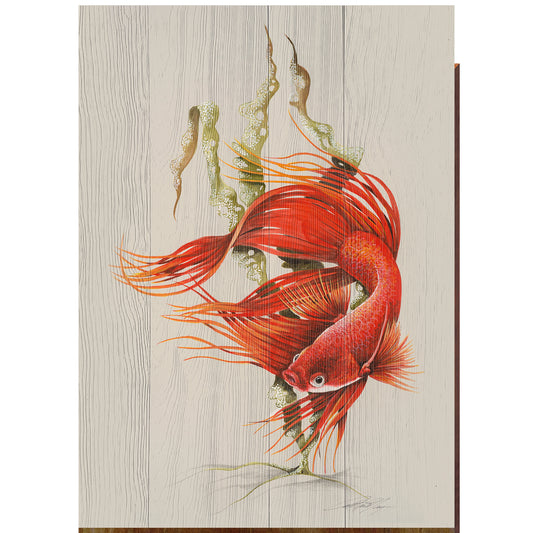 Art Lamay | Red Betta Fish Portrait | Wall Art Print on Real Wood