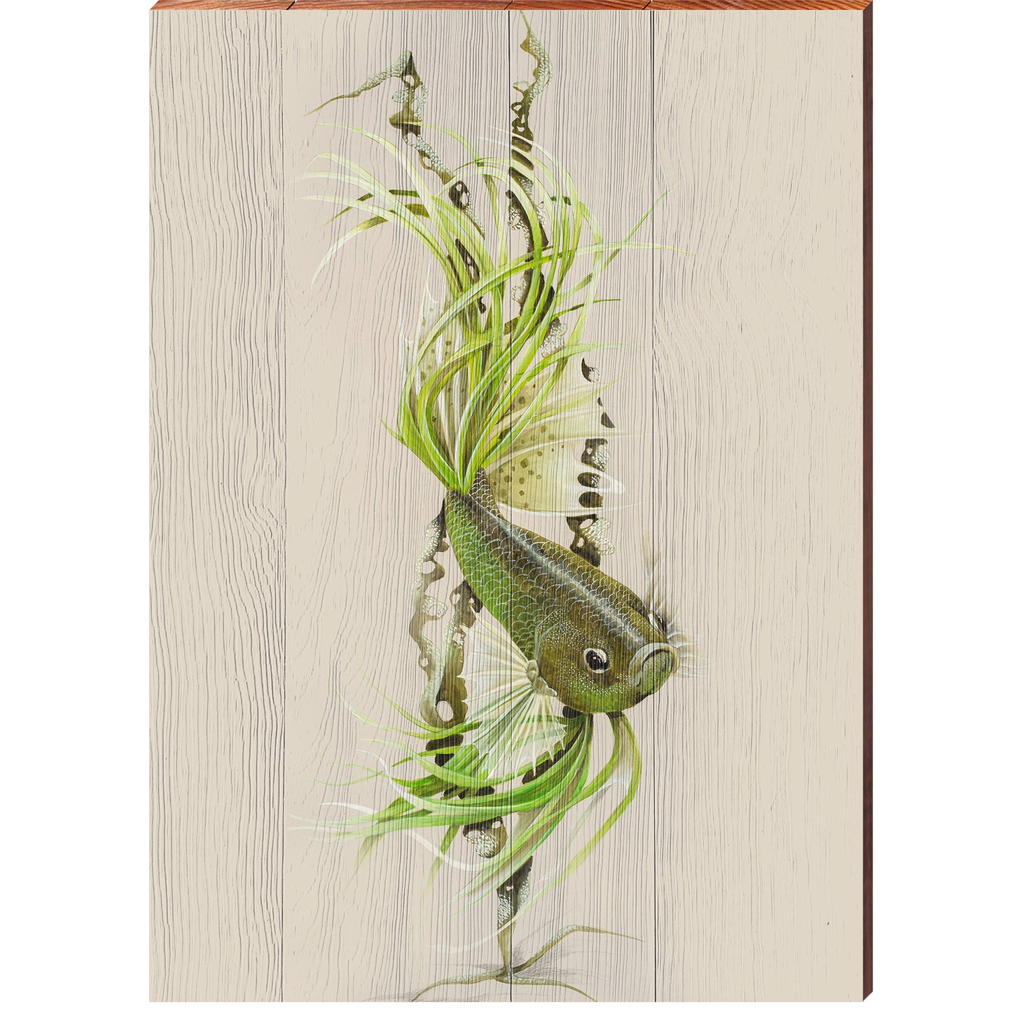 Art Lamay | Green Betta Fish Portrait | Wall Art Print on Real Wood