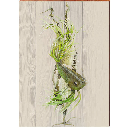 Art Lamay | Green Betta Fish Portrait | Wall Art Print on Real Wood