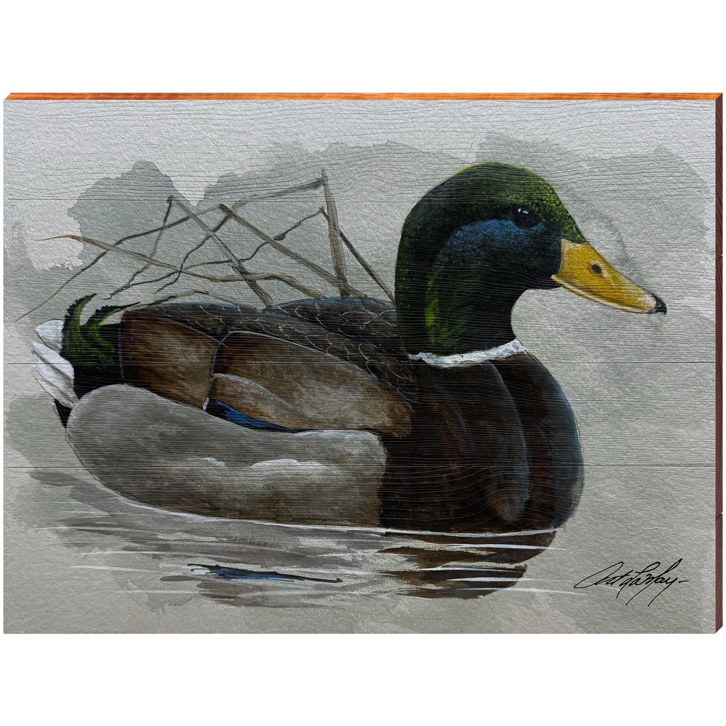 Art Lamay | Beautiful Mallard Portrait | Wall Art Print on Real Wood