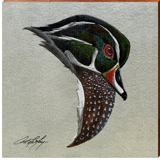 Art Lamay | Bright Wood Duck | Wall Art Print on Real Wood