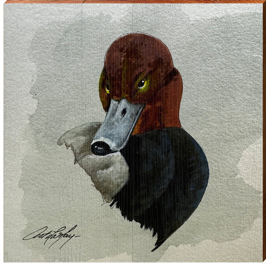 Art Lamay | Redhead Diving Duck | Wall Art Print on Real Wood