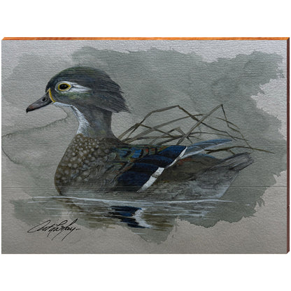 Art Lamay | Female Wood Duck | Wall Art Print on Real Wood