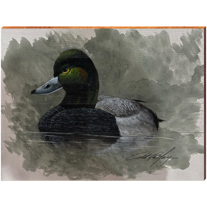 Art Lamay | Greater Scaup Diving Duck | Wall Art Print on Real Wood