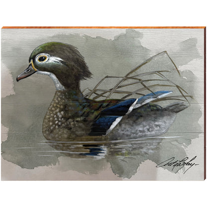 Art Lamay | Pretty Female Wood Duck | Wall Art Print on Real Wood