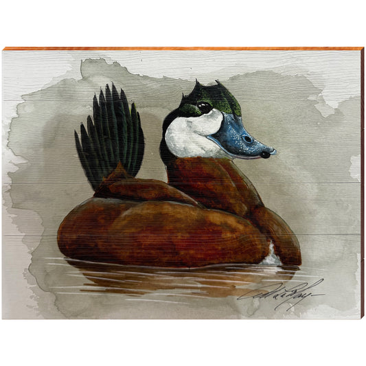 Art Lamay | Male Ruddy Duck | Wall Art Print on Real Wood