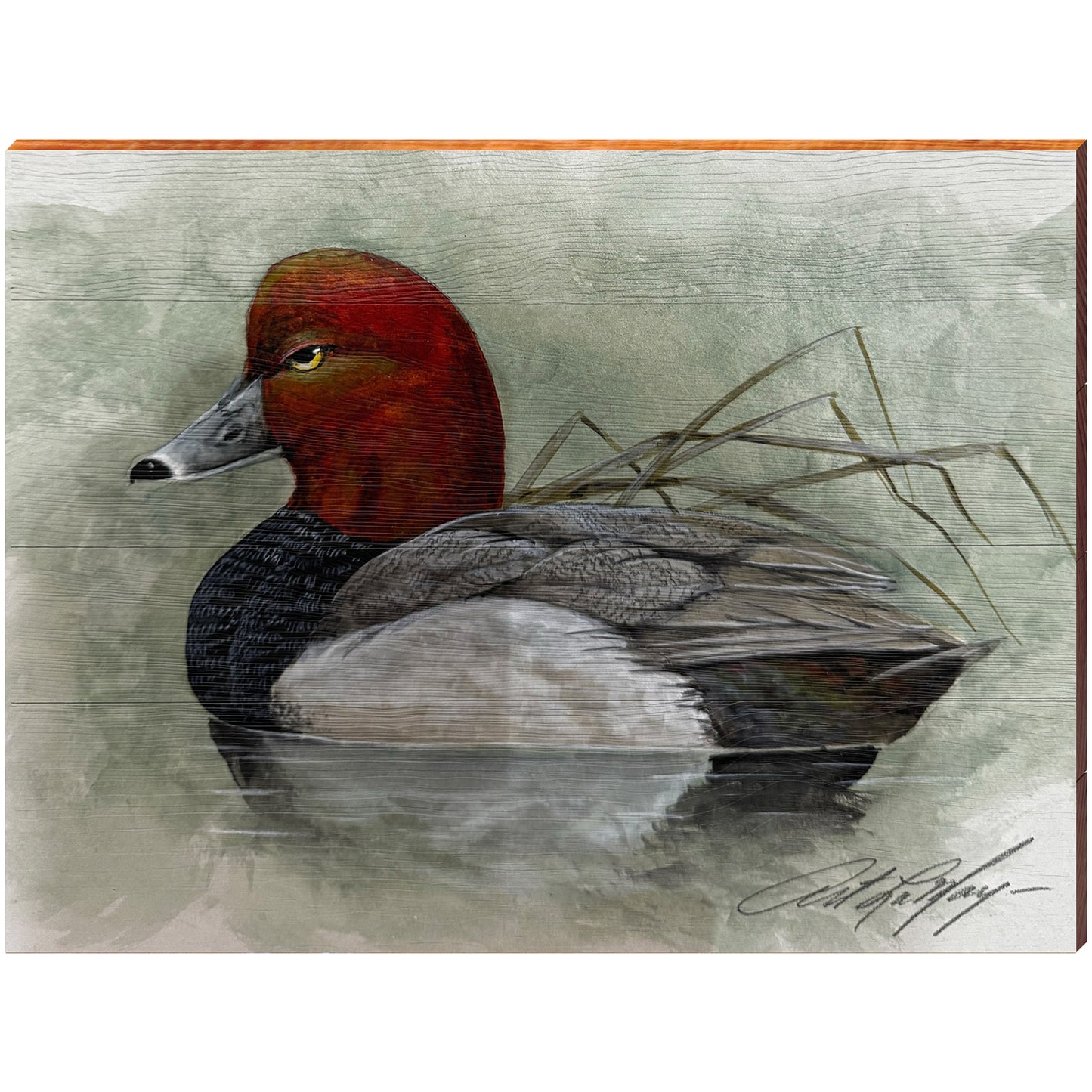 Art Lamay | Redhead Duck | Wall Art Print on Real Wood