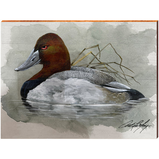 Art Lamay | Male Canvasback Duck | Wall Art Print on Real Wood