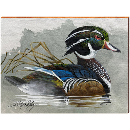 Art Lamay | Colorful Wood Duck Portrait | Wall Art Print on Real Wood