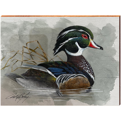 Art Lamay | Male Wood Duck | Wall Art Print on Real Wood