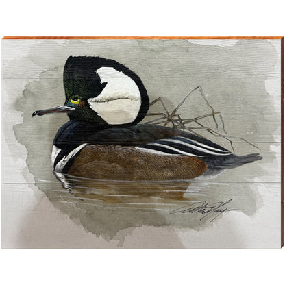 Art Lamay | Hooded Merganser Duck | Wall Art Print on Real Wood