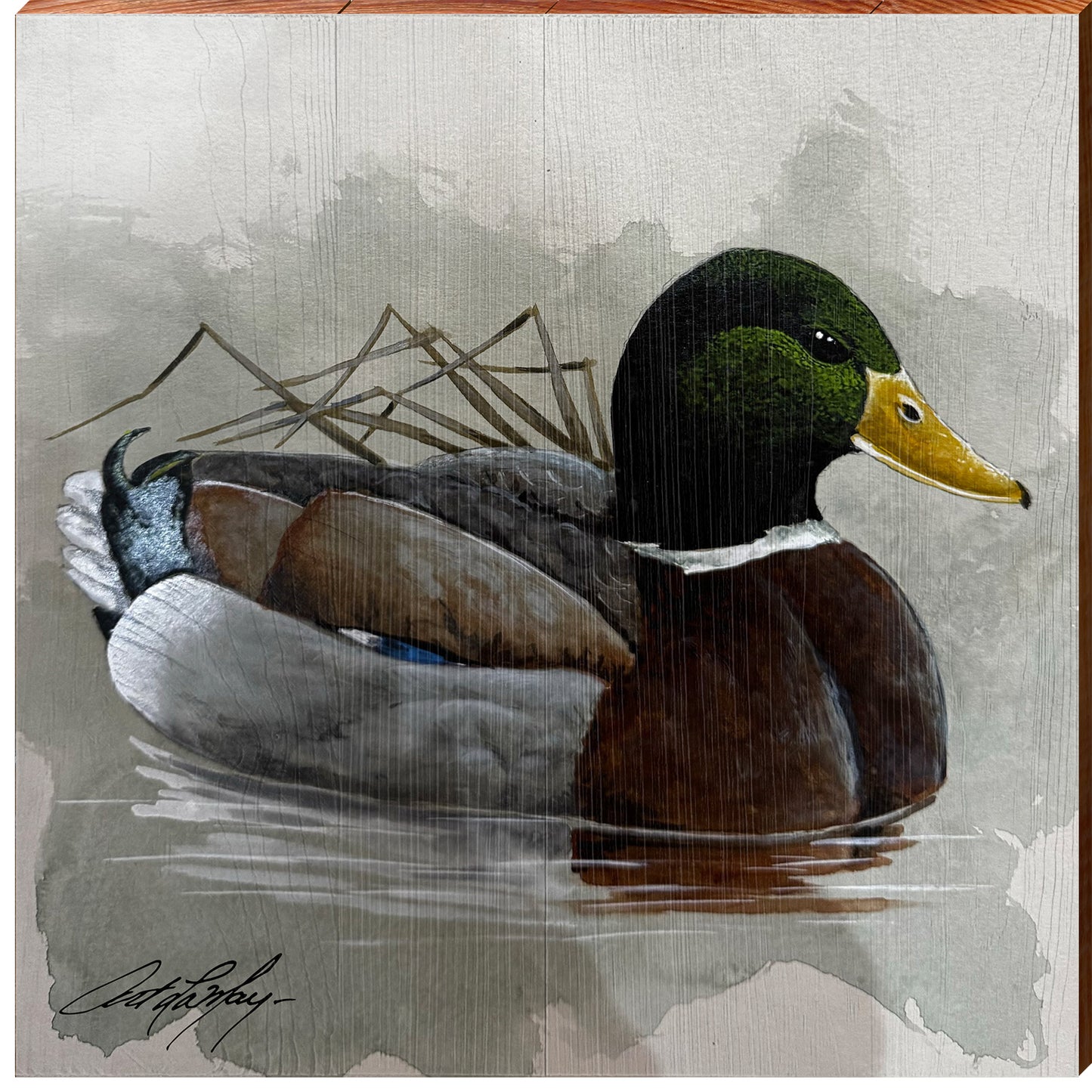 Art Lamay | Classic Mallard | Wall Art Print on Real Wood