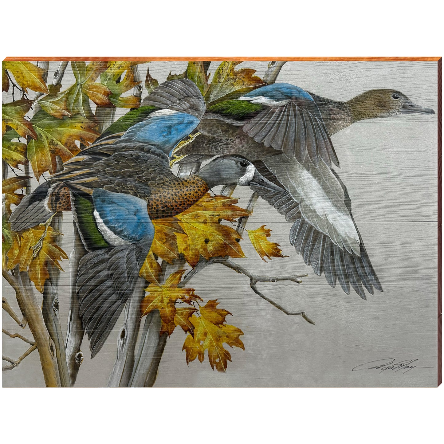 Art Lamay | Blue Winged Teal Ducks Portrait | Wall Art Print on Real Wood