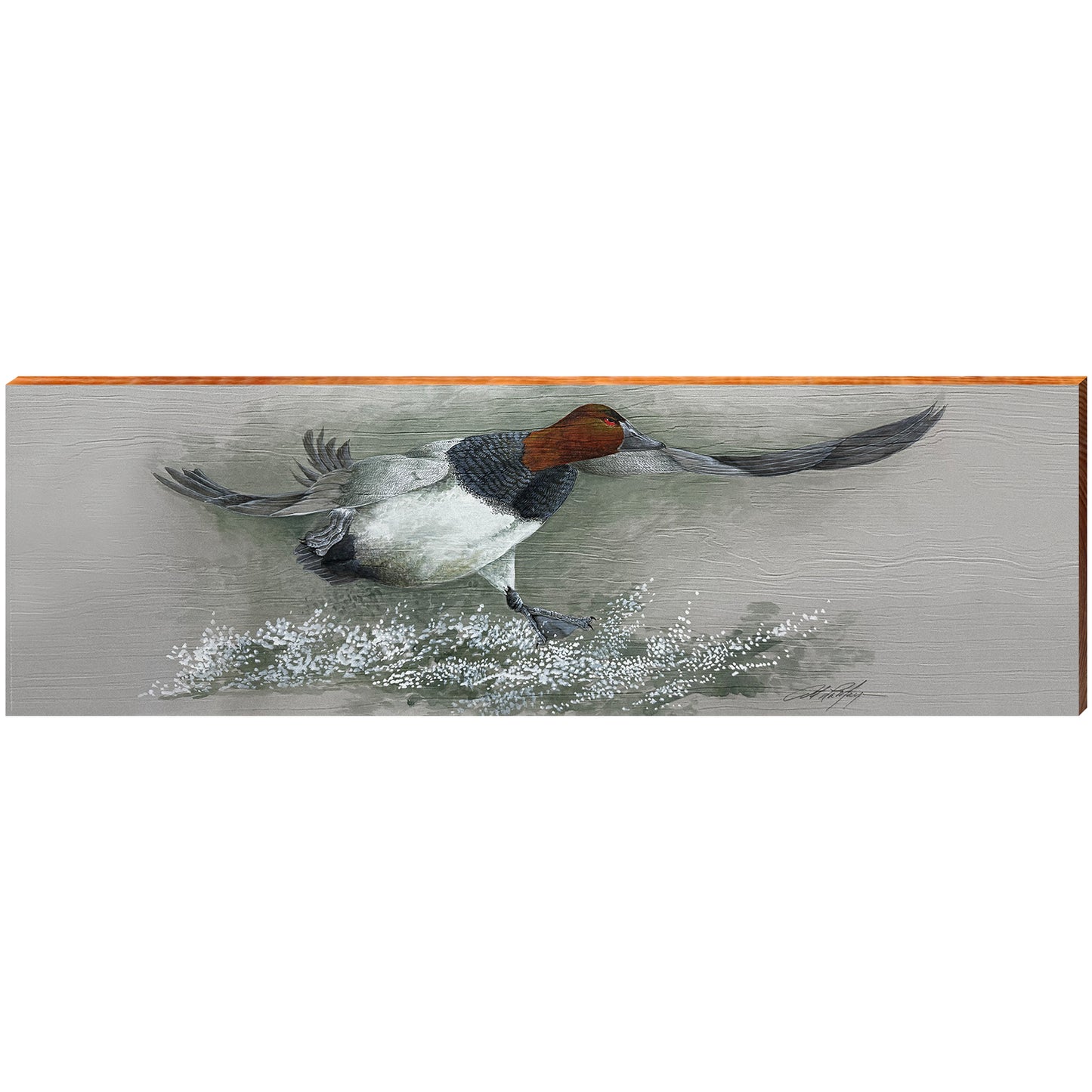 Art Lamay | Canvasback Duck | Wall Art Print on Real Wood