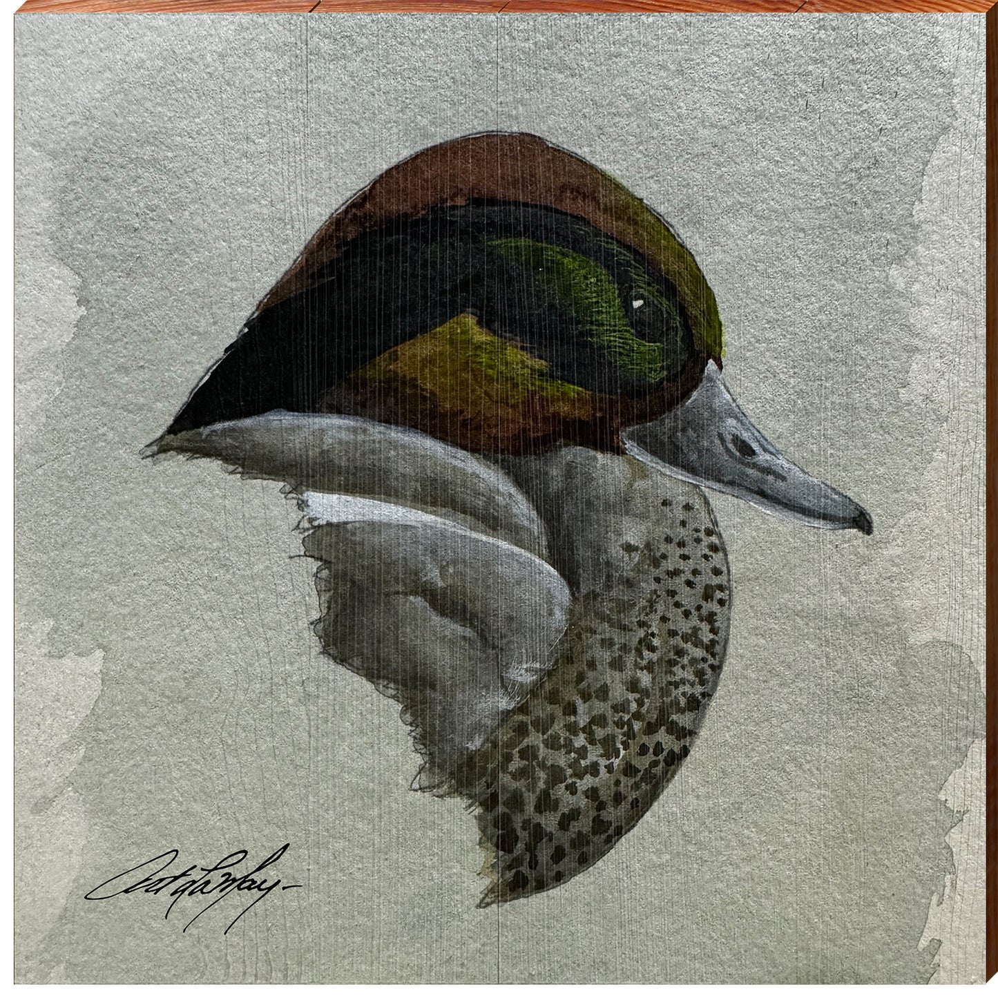 Art Lamay | Pretty Green Winged Teal Duck | Wall Art Print on Real Wood