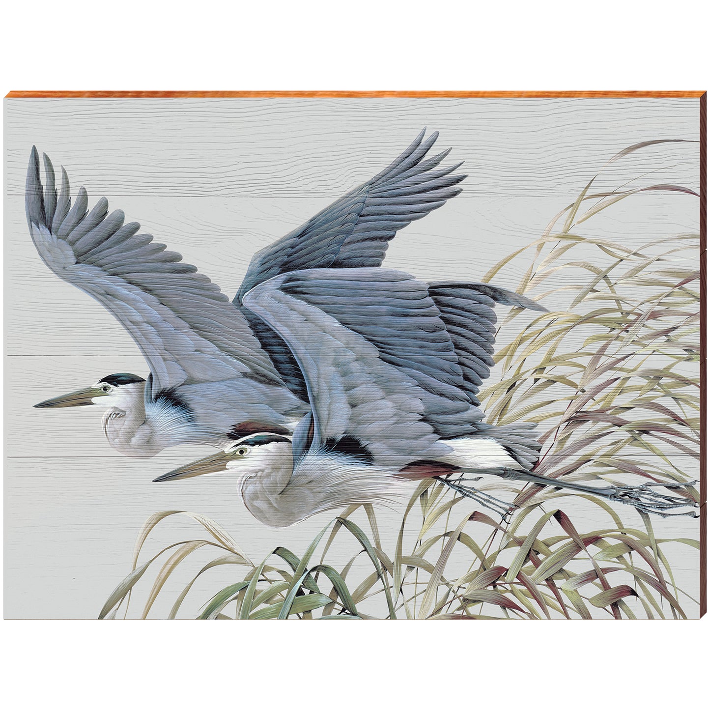 Art Lamay | Heron Duo in Flight Portrait | Wall Art Print on Real Wood