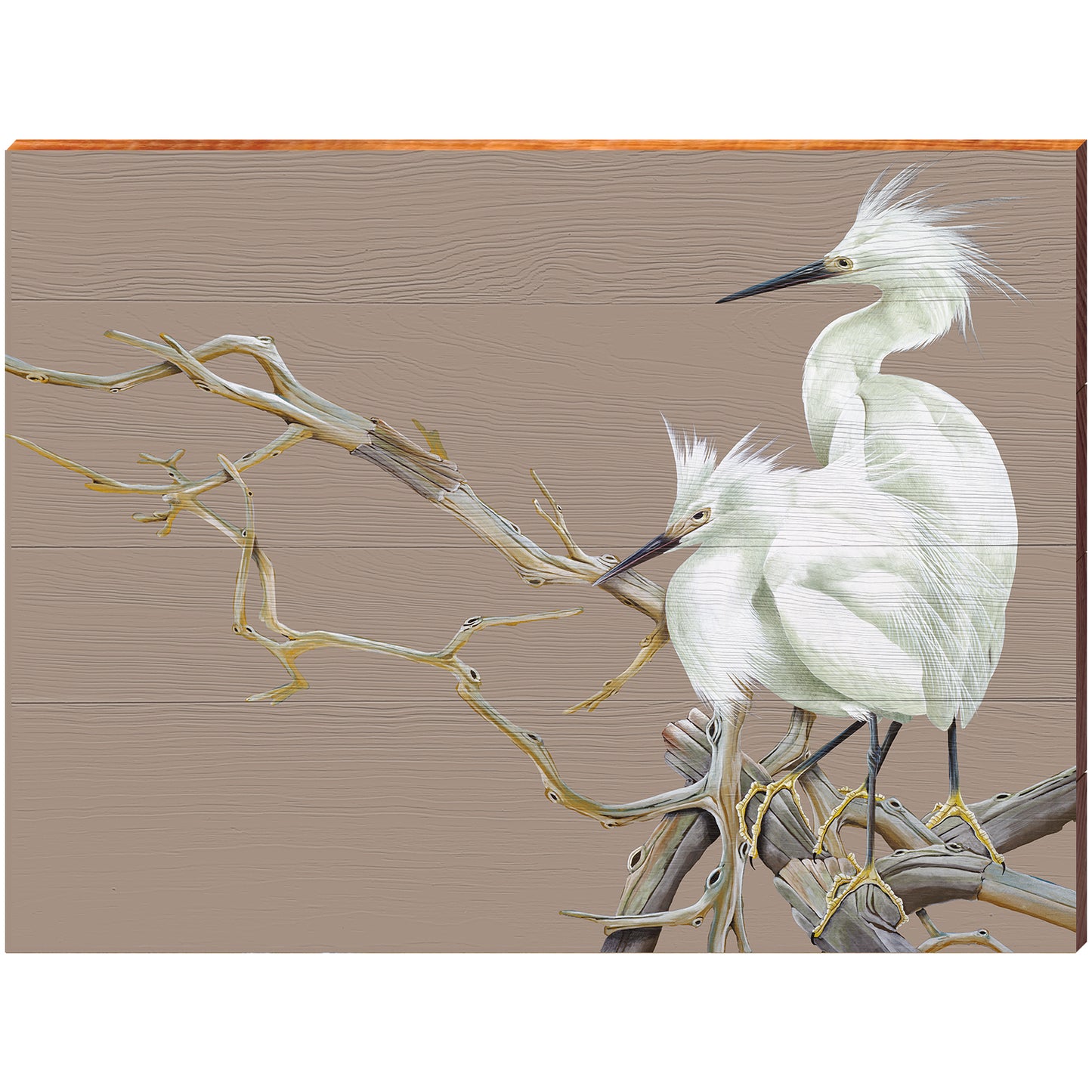 Art Lamay | Egret Duo Perched Portrait | Wall Art Print on Real Wood