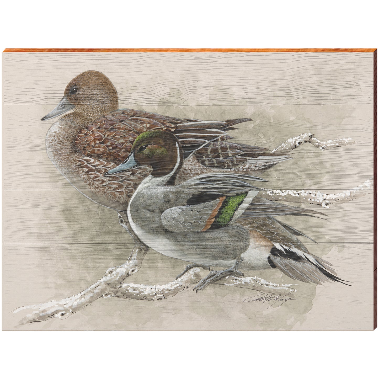 Art Lamay | Northern Pintail Duck Duo | Wall Art Print on Real Wood