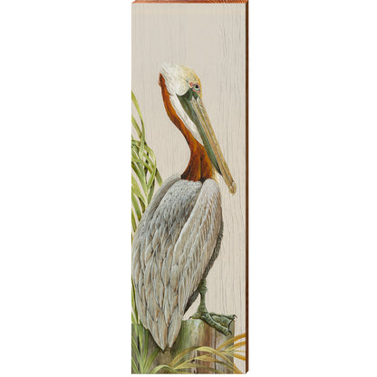 Art Lamay | Handsome Pelican | Wall Art Print on Real Wood