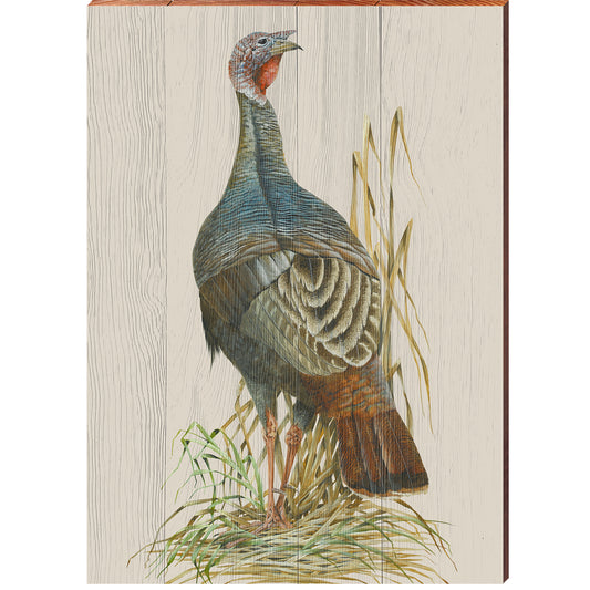 Art Lamay | Wild Turkey Portrait | Wall Art Print on Real Wood