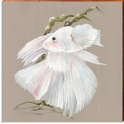 Art Lamay | White Halfmoon Betta Fish | Wall Art Print on Real Wood