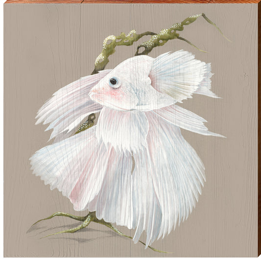 Art Lamay | White Halfmoon Betta Fish | Wall Art Print on Real Wood