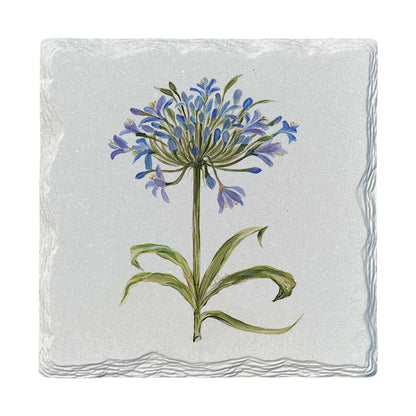 Pamela Cassidy | African Lily | Drink Coaster