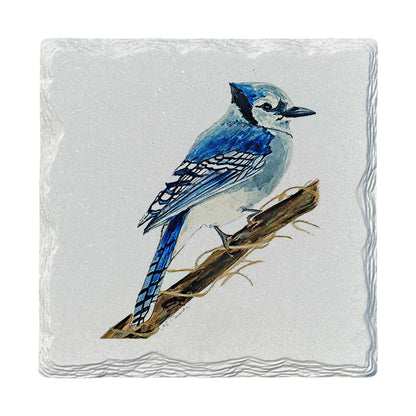 Pamela Cassidy | Blue Jay | Drink Coaster