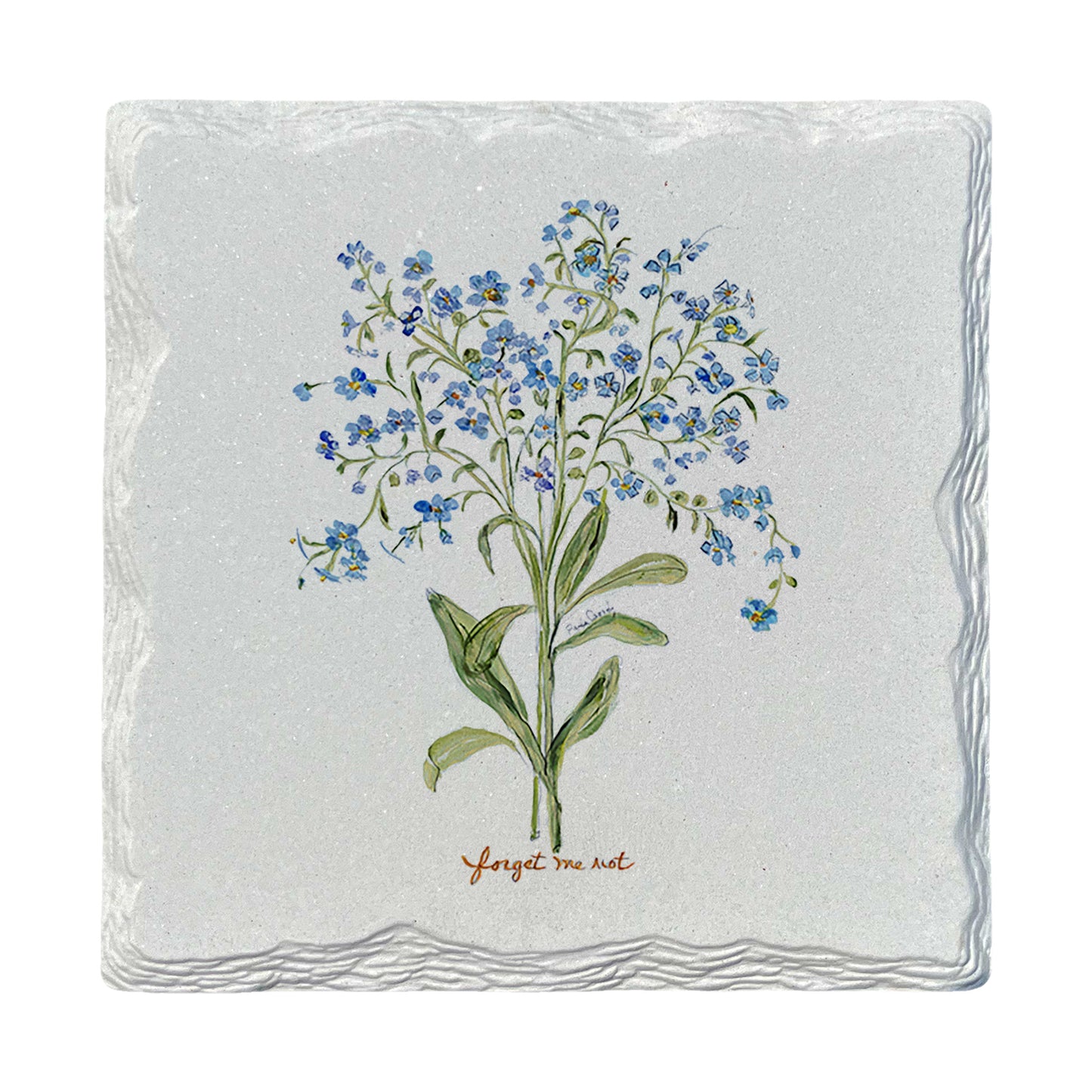 Pamela Cassidy | Everlasting Forget-Me-Not | Drink Coaster