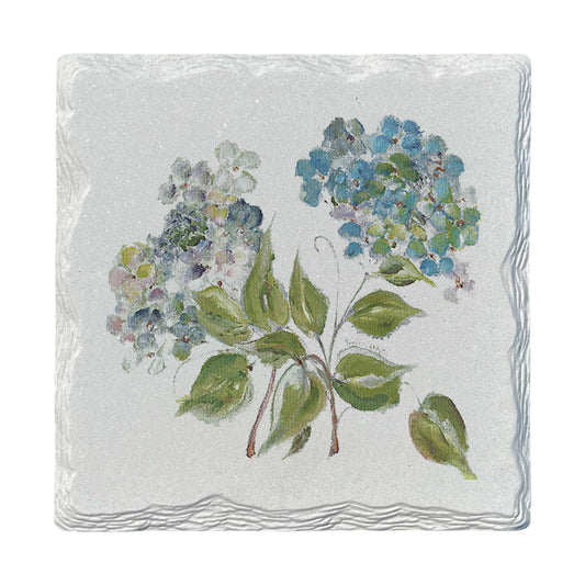 Pamela Cassidy | Hydrangeas | Drink Coaster