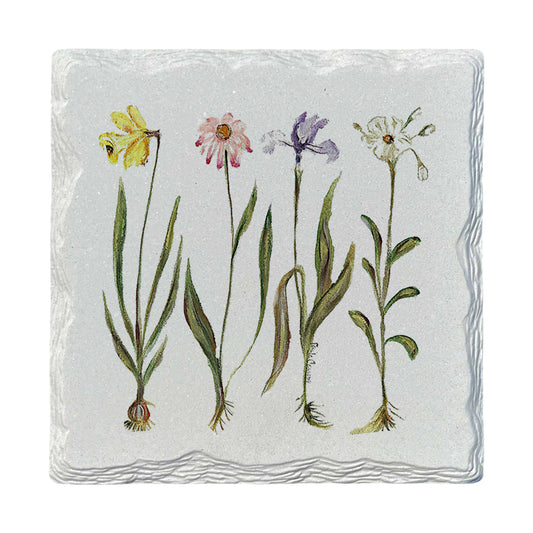 Pamela Cassidy | Spring Flowers | Drink Coaster