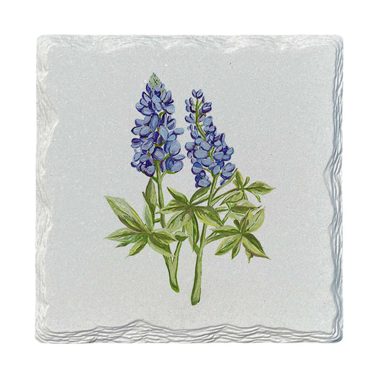 Pamela Cassidy | Bluebonnets | Drink Coaster