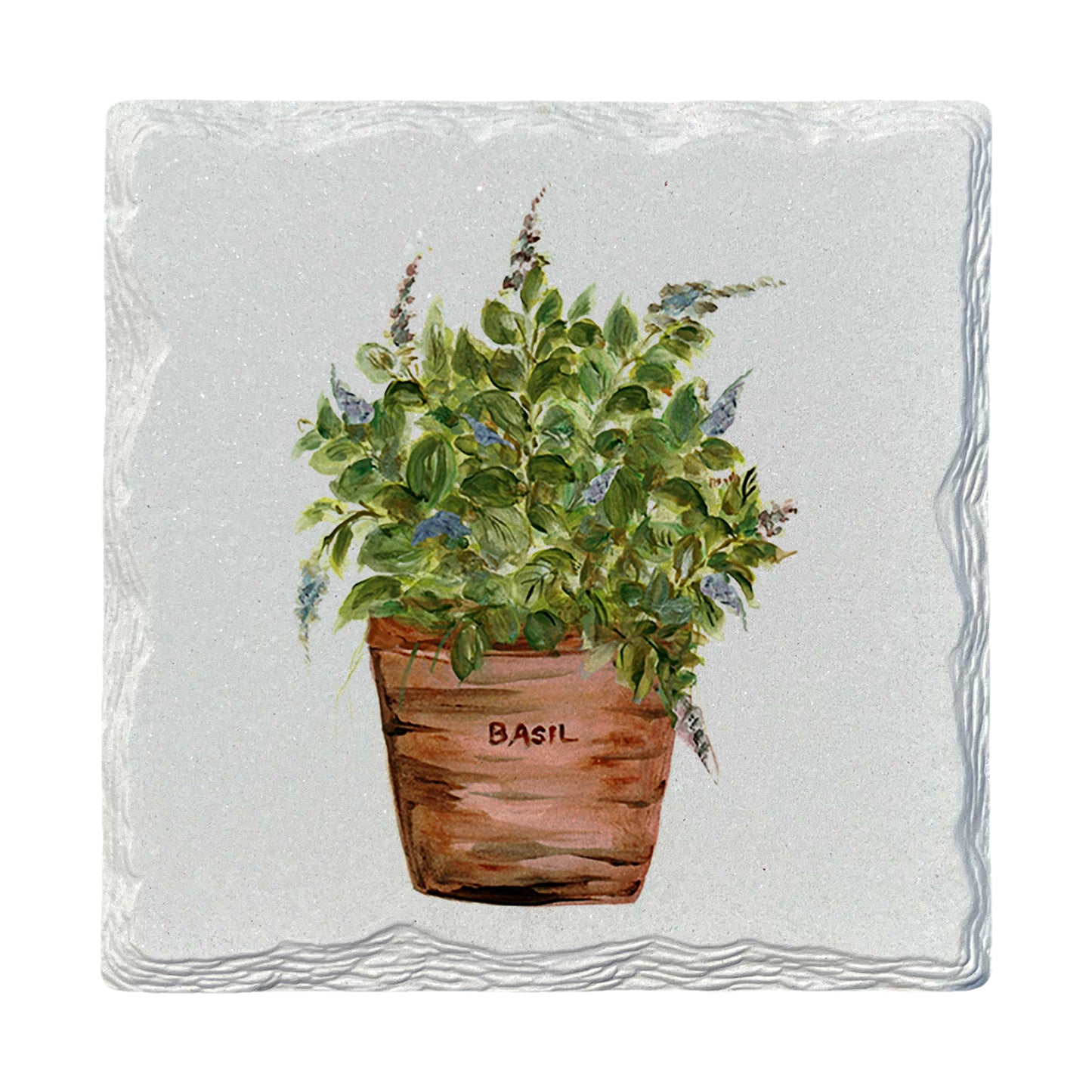 Pamela Cassidy | Basil | Drink Coaster